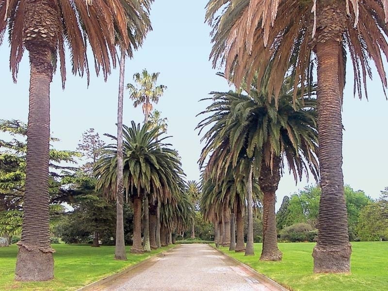 29/1-2 The Esplanade, St Kilda VIC 3182