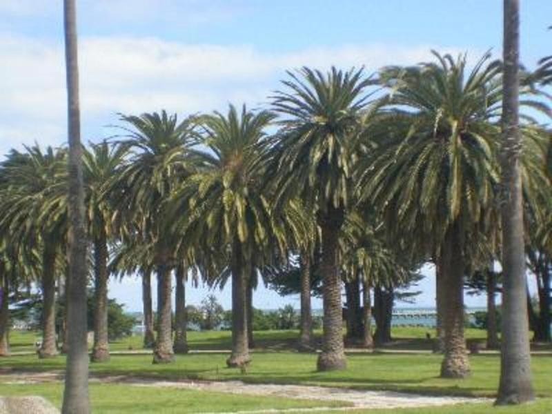 11/41 Park Street, St Kilda VIC 3182