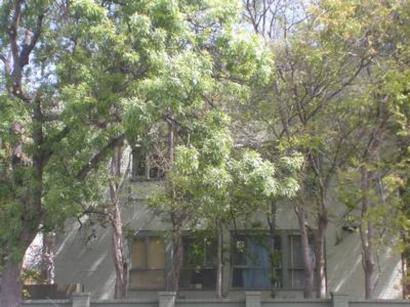 7/41 Park Street, St Kilda VIC 3182