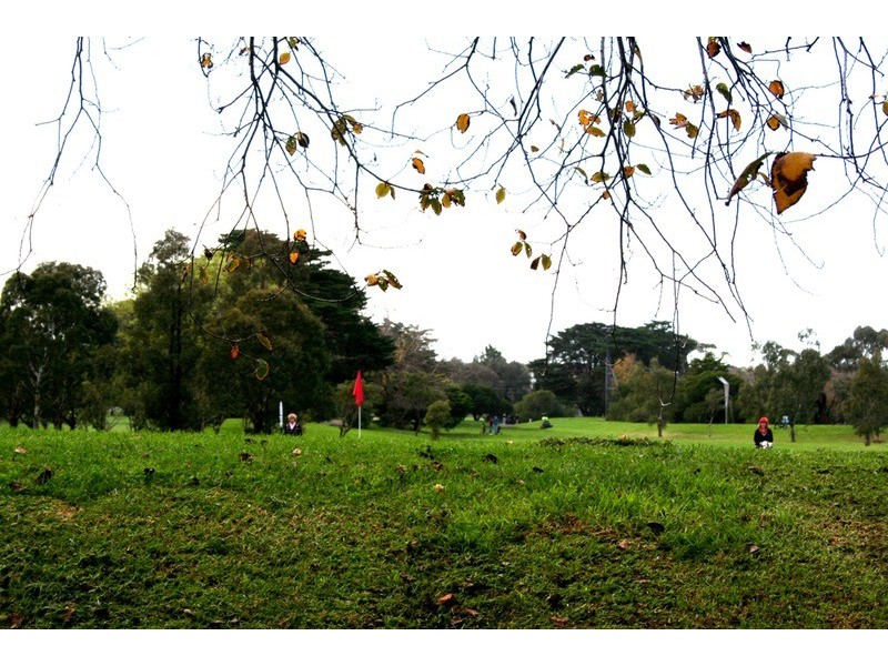 3/129 Glenhuntly Road, Elwood VIC 3184