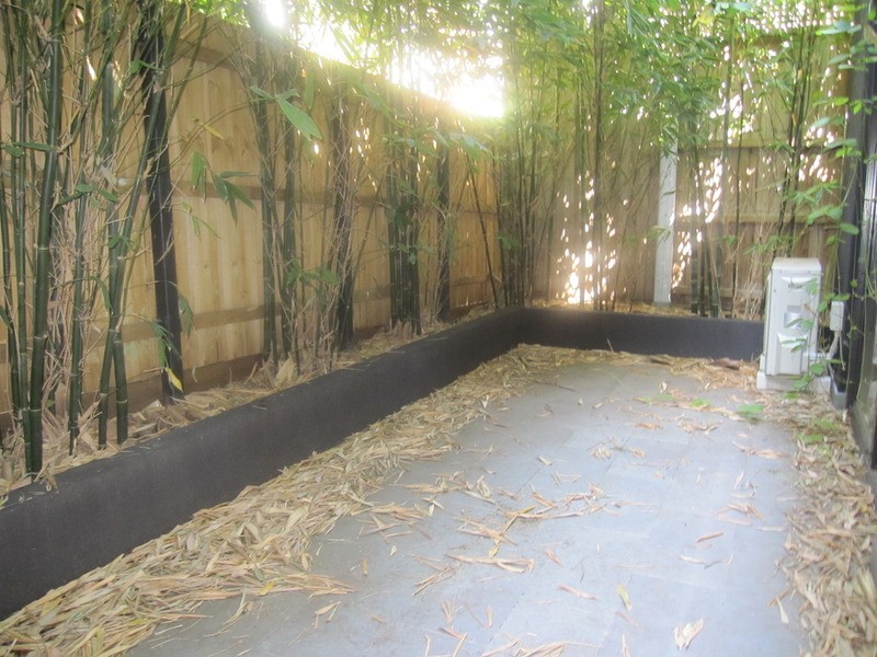 12/17 Robe  Street, St Kilda VIC 3182