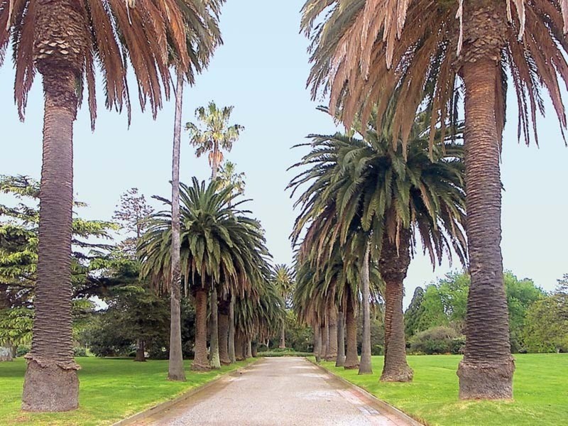 29/1-2 The Esplanade, St Kilda VIC 3182