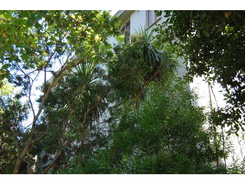 20/38 Charnwood Road, St Kilda VIC 3182