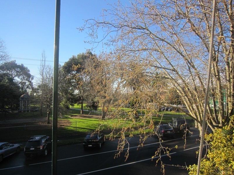 3/21A Dickens Street, Elwood VIC 3184