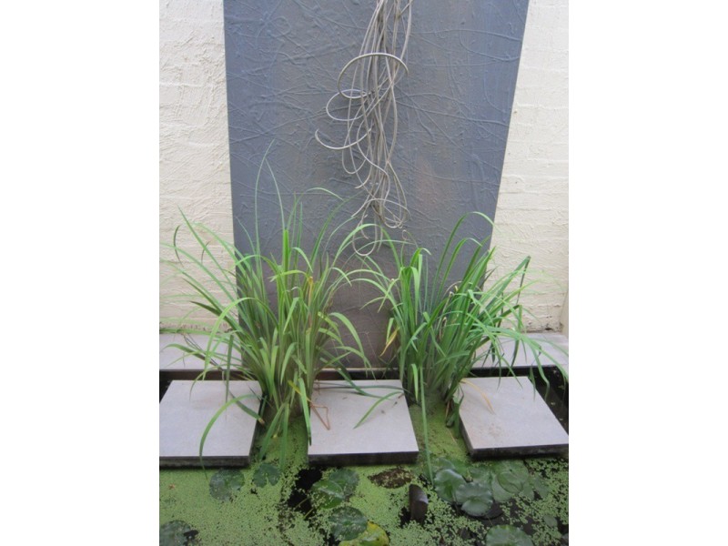 5 Cowper Street, St Kilda VIC 3182