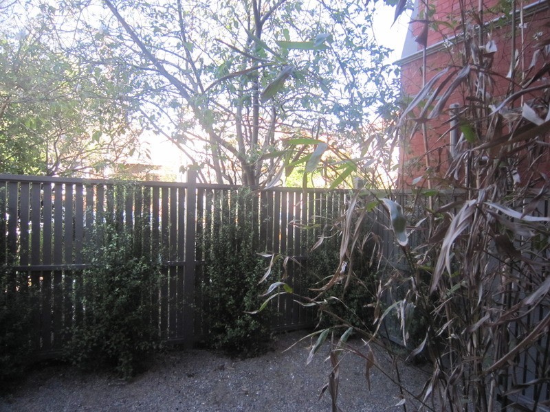 1/5 Lewisham Road, Windsor VIC 3181