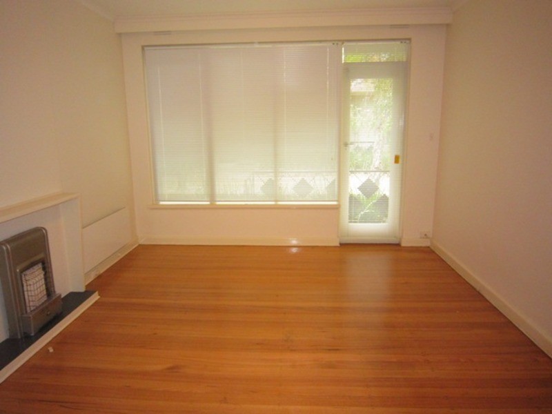 1/3 Wimbledon Avenue, Elwood VIC 3184