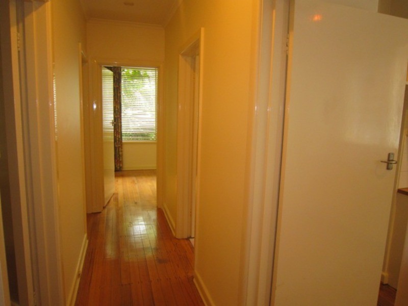 1/3 Wimbledon Avenue, Elwood VIC 3184