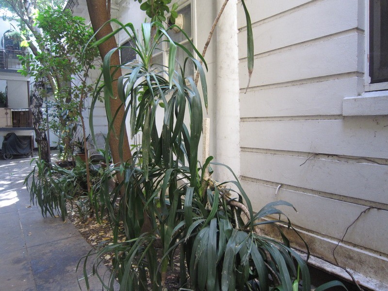 2/4 Burnett Street, St Kilda VIC 3182