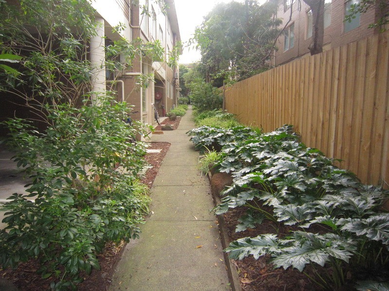 5/144 Alma Road, St Kilda VIC 3182