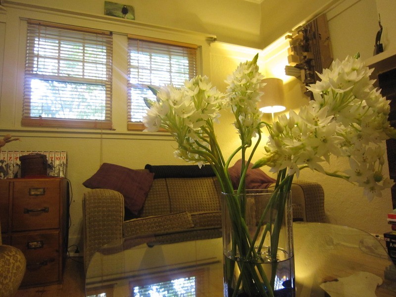 10/6 Westbeach Road, St Kilda VIC 3182