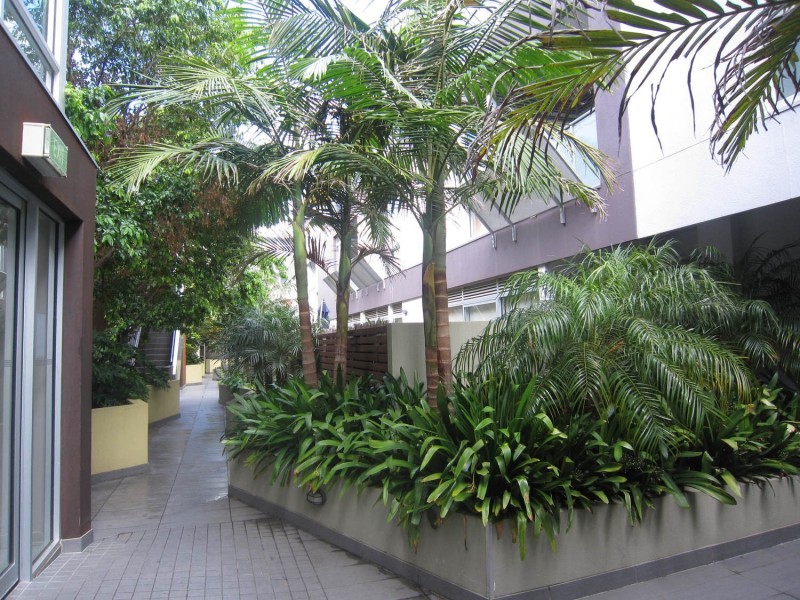 228/135 Inkerman Street, St Kilda VIC 3182