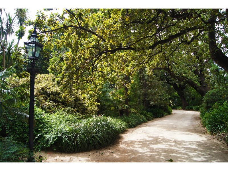 3 Quat Quatta Avenue, Ripponlea VIC 3185