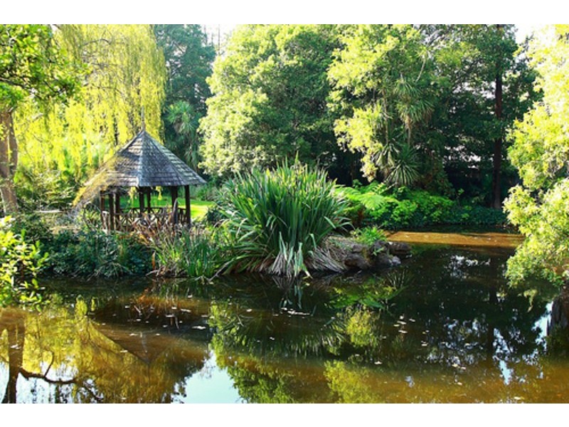 3 Quat Quatta Avenue, Ripponlea VIC 3185