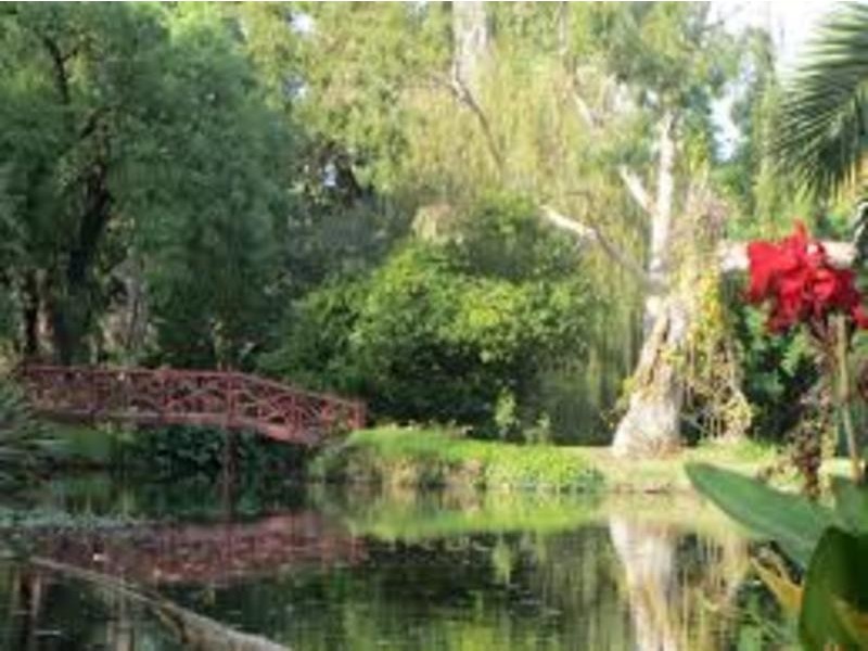 43/8 Glen Eira Road, Ripponlea VIC 3185