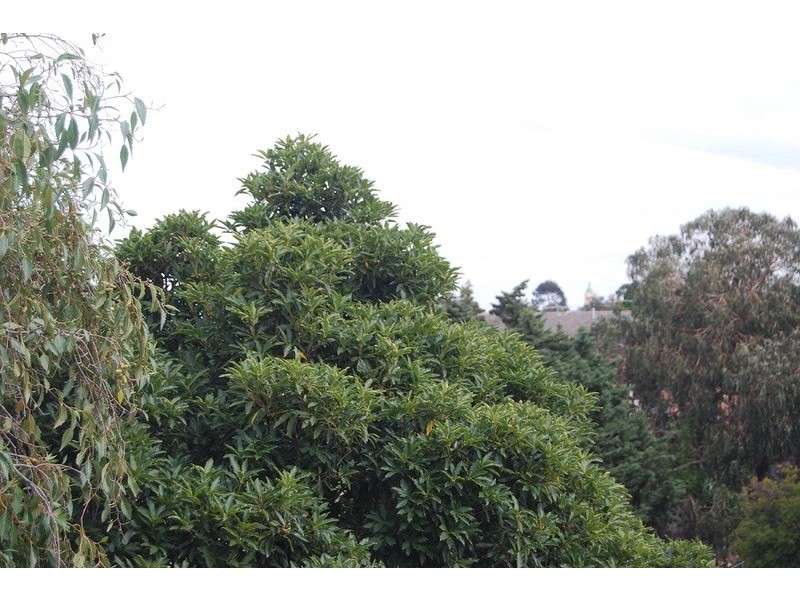 49/25 Redan Street, St Kilda VIC 3182