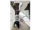 23 Mitford Street, St Kilda VIC 3182