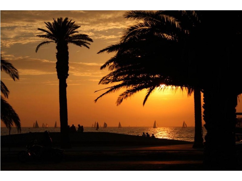 14A/233 Canterbury Road, St Kilda West VIC 3182