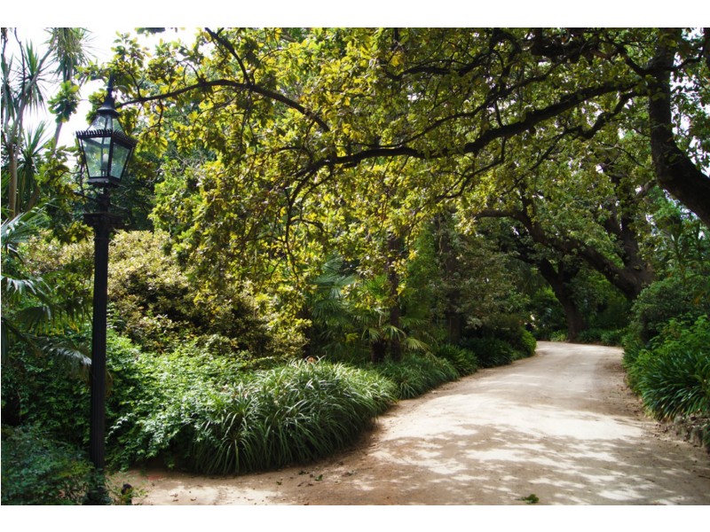 5/211 Hotham Street, Ripponlea VIC 3185