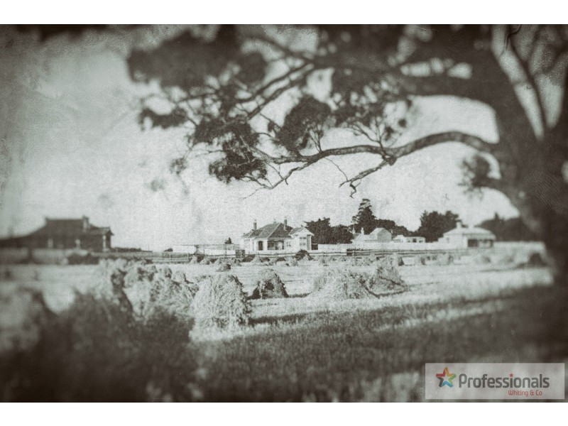 88 Eskdale Road, Caulfield North VIC 3161