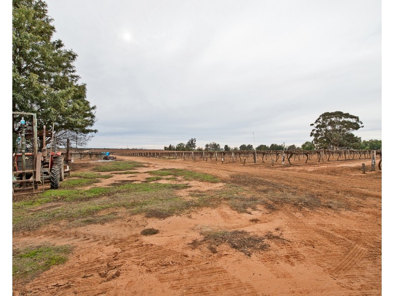 90 Kinghorne Lane, Nyah VIC 3594