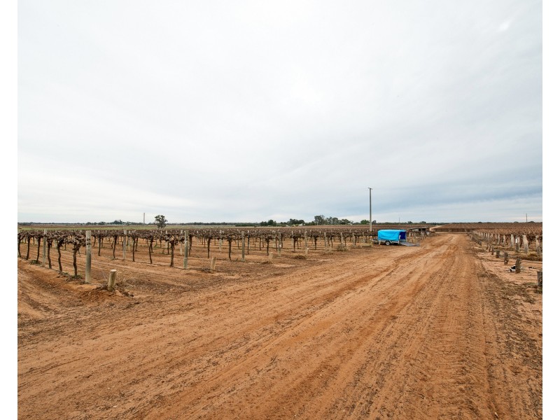 90 Kinghorne Lane, Nyah VIC 3594