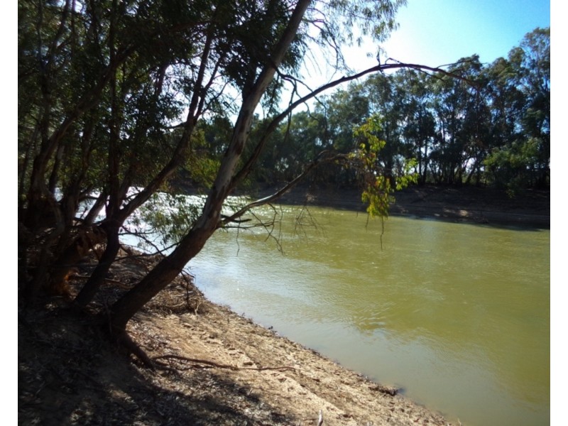 554 Tyntynder Road, Swan Hill VIC 3585