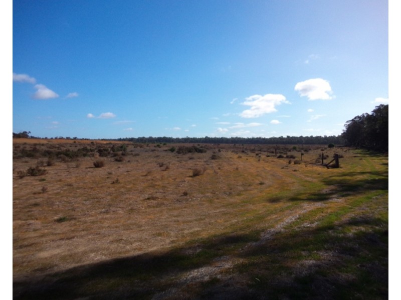 554 Tyntynder Road, Swan Hill VIC 3585