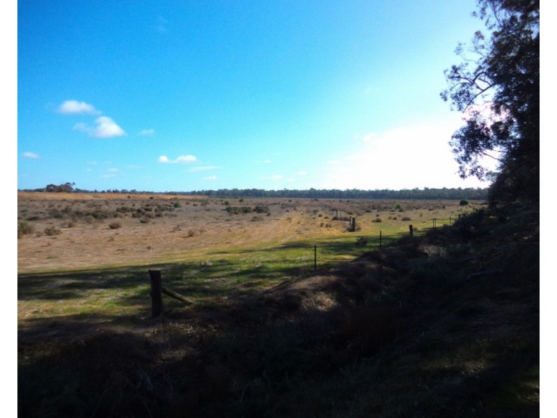 554 Tyntynder Road, Swan Hill VIC 3585