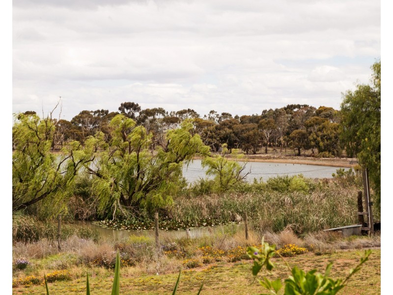 167  Lake Boga Ultima Road, Lake Boga VIC 3584