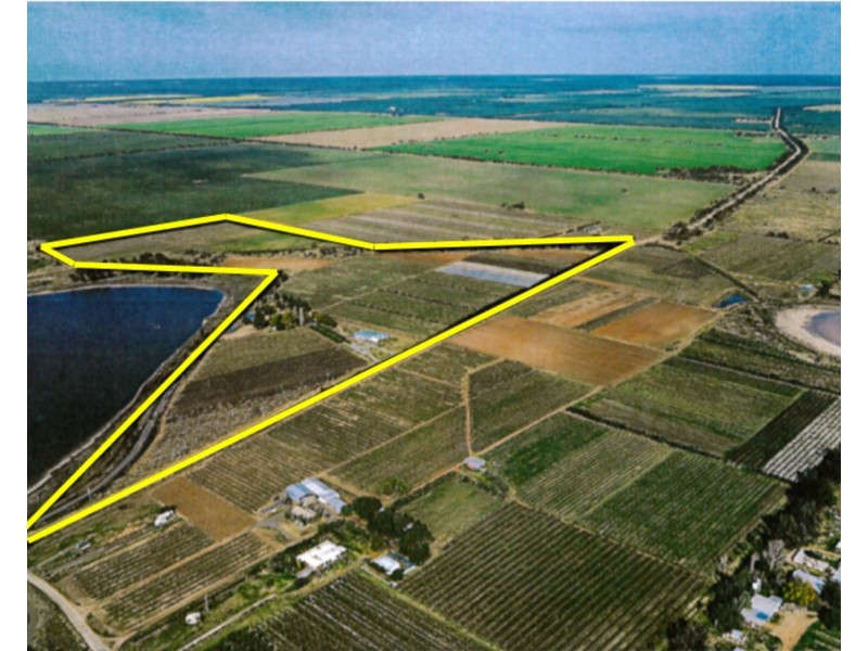 167  Lake Boga Ultima Road, Lake Boga VIC 3584