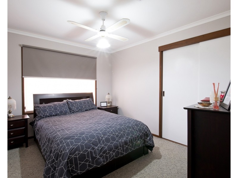 20 Domaille Crescent, Swan Hill VIC 3585