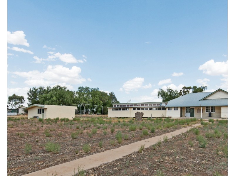 41 High Street, Piangil VIC 3597