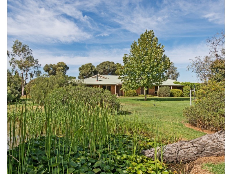 22 Suttie Drive, Swan Hill VIC 3585