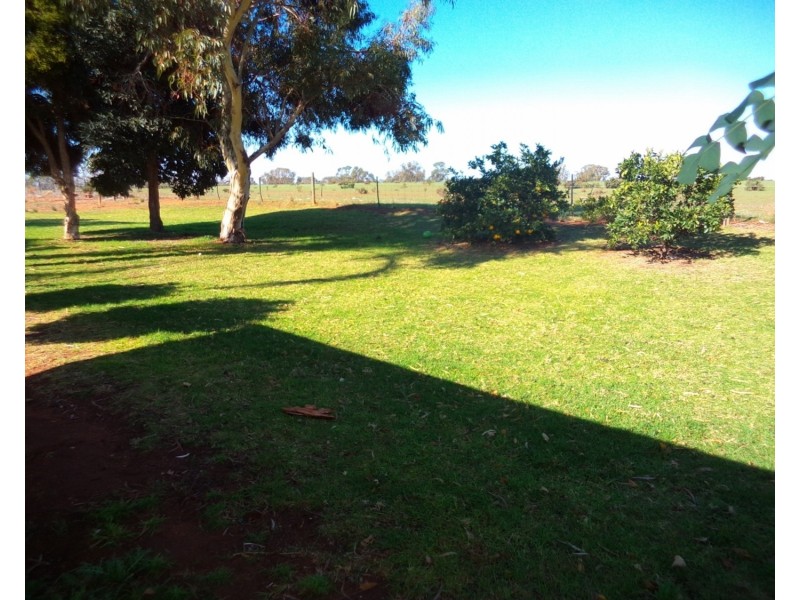 1033 Koraleigh Road, Koraleigh NSW 2735