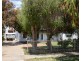 181 McCallum Street, Swan Hill VIC 3585
