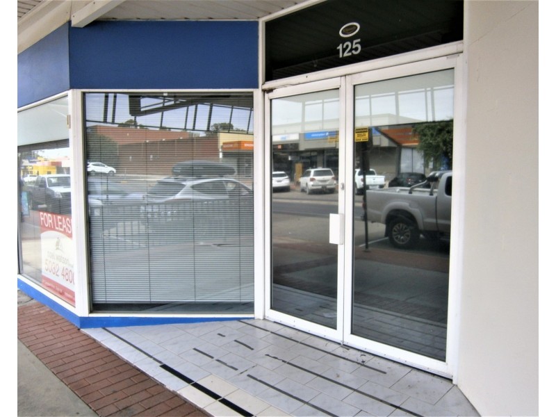 125 Campbell Street, Swan Hill VIC 3585