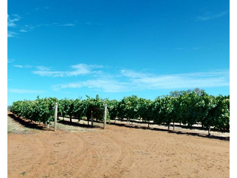 224 Koraleigh Road, Koraleigh NSW 2735