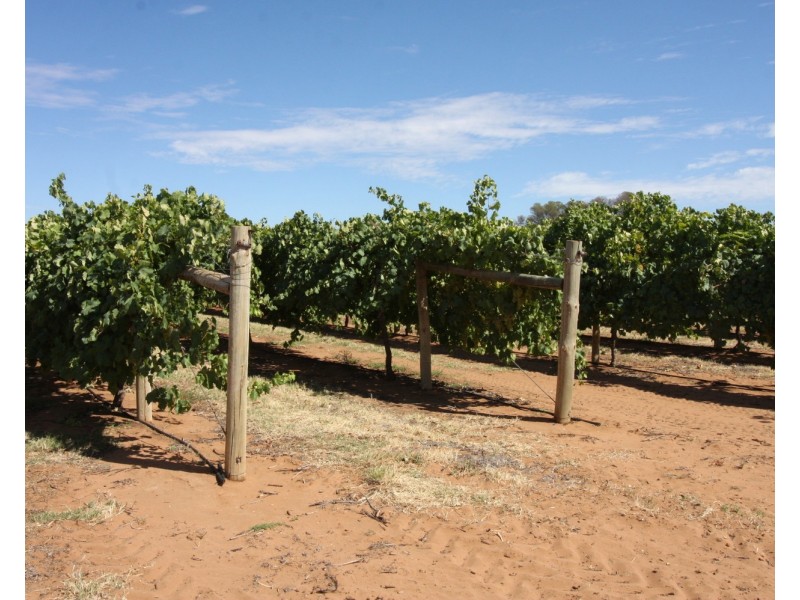 224 Koraleigh Road, Koraleigh NSW 2735