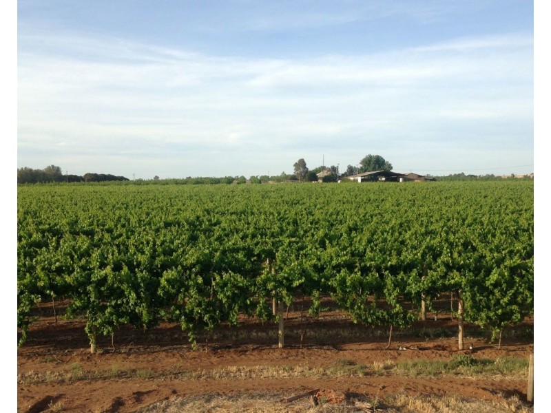 224 Koraleigh Road, Koraleigh NSW 2735