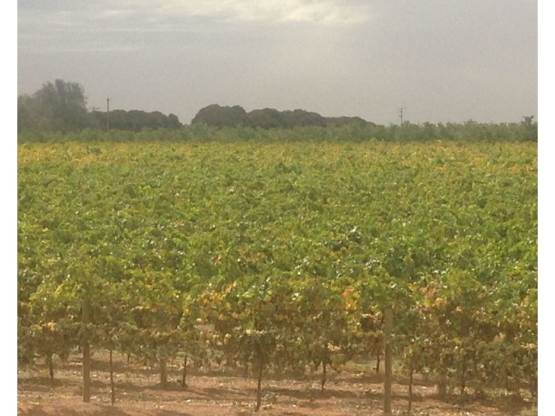 224 Koraleigh Road, Koraleigh NSW 2735