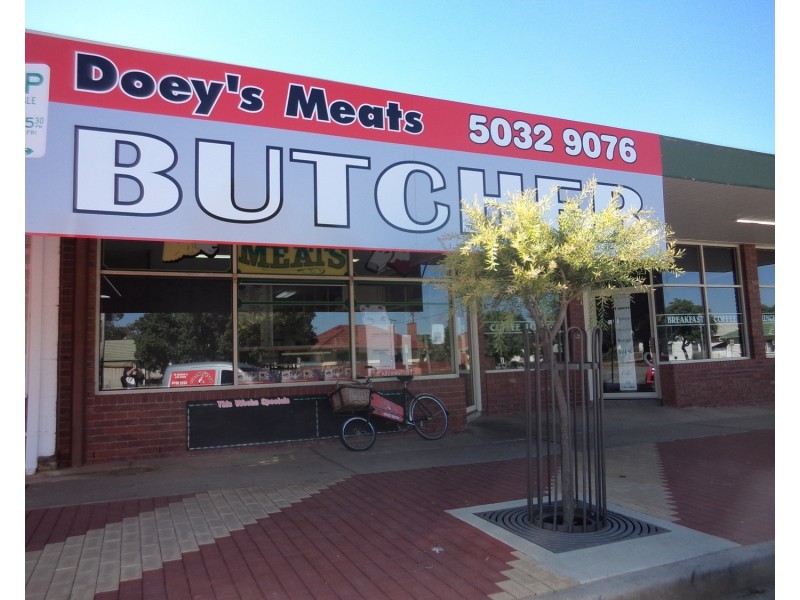 19 Brown Street, Swan Hill VIC 3585