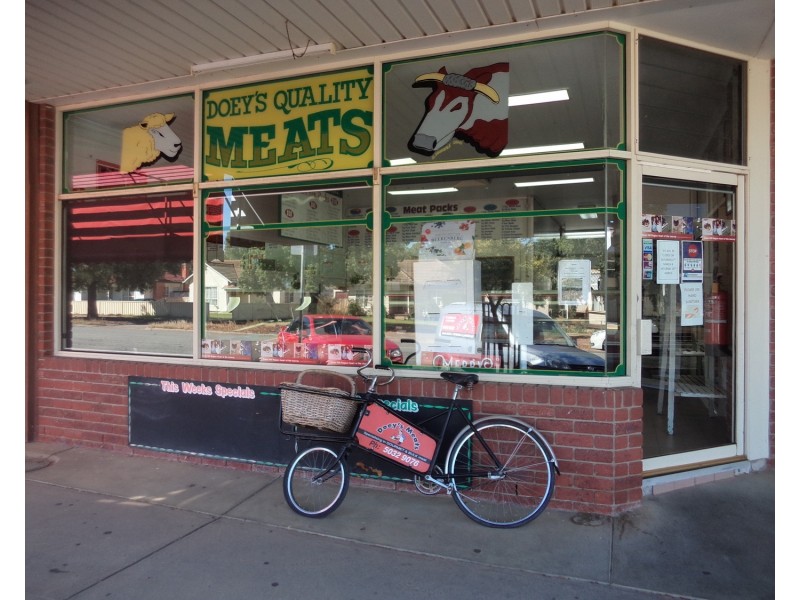 19 Brown Street, Swan Hill VIC 3585