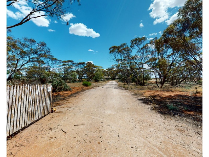 3965 Sea Lake Swan Hill Road, Ultima VIC 3544