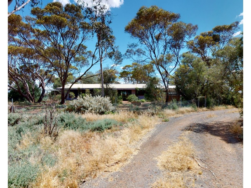 3965 Sea Lake Swan Hill Road, Ultima VIC 3544