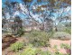 3965 Sea Lake Swan Hill Road, Ultima VIC 3544
