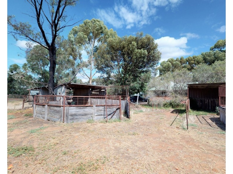 195 Gray Street, Swan Hill VIC 3585