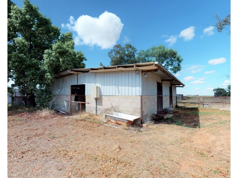 195 Gray Street, Swan Hill VIC 3585