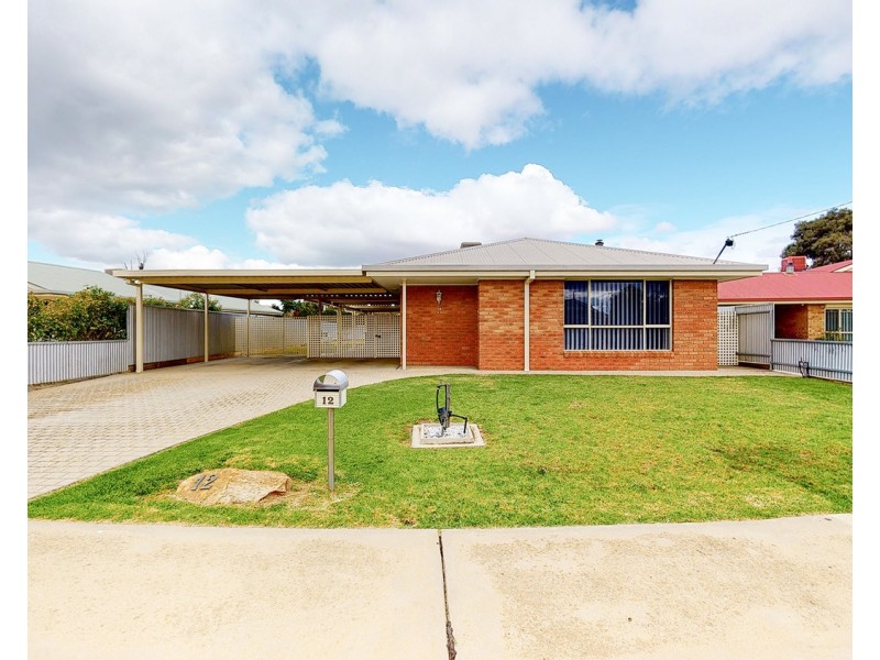 12 Barwick Court, Swan Hill VIC 3585