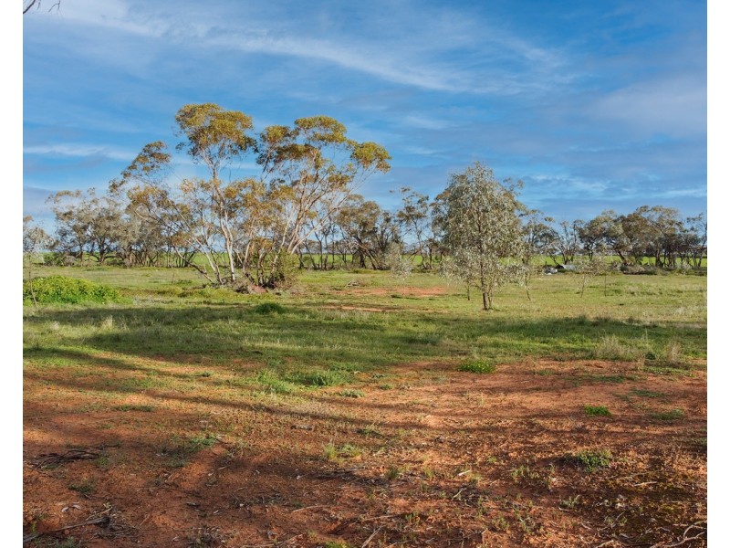 77 Donald Street, Nyah West VIC 3595